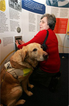 Orbital transcribes Guide Dogs For The Blind exhibition with GuidePORT